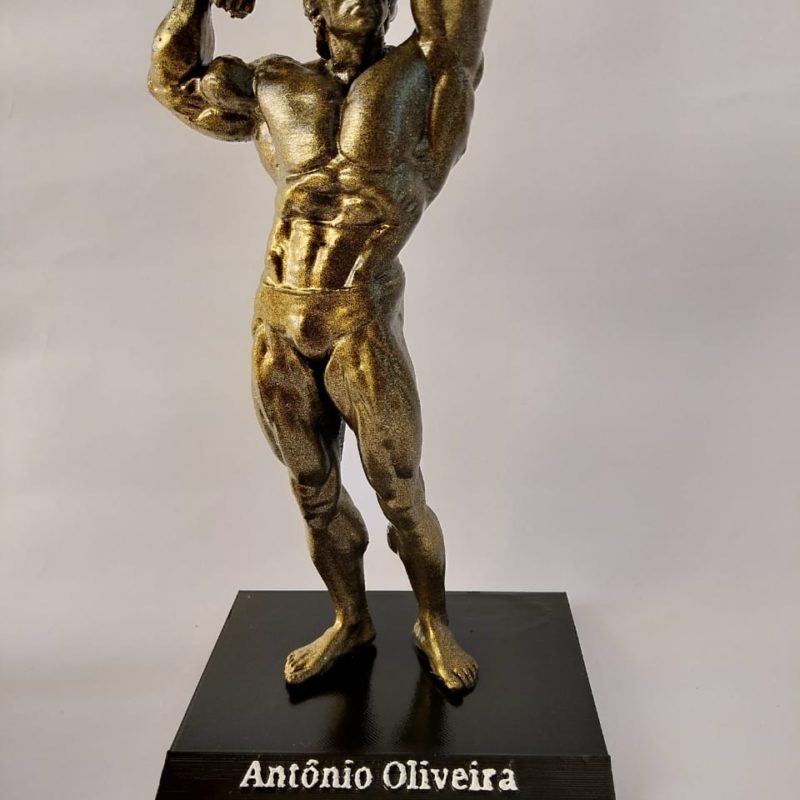 Arnold  Schwarzenegger - Fisiculturista com Base Personalizada